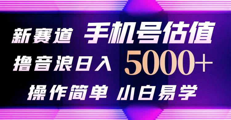 抖音不出境直播【手机号估值】最新撸音浪，日入5000+，简单易学，适合…-辰阳网创