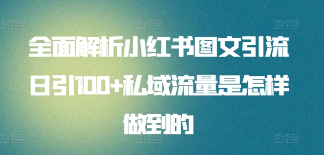 暴力引流 小红书图文引流日引100私域全面拆解【打粉人必看】-辰阳网创