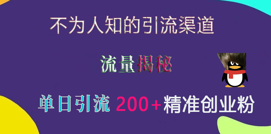 不为人知的引流渠道，流量揭秘，实测单日引流200+精准创业粉-辰阳网创