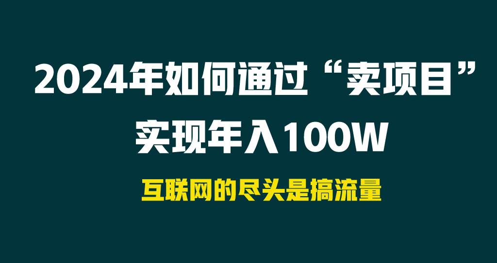 2024年如何通过“卖项目”实现年入100W-辰阳网创