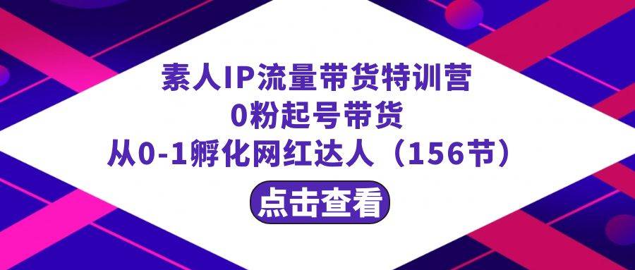 繁星·计划素人IP流量带货特训营：0粉起号带货 从0-1孵化网红达人（156节）-辰阳网创