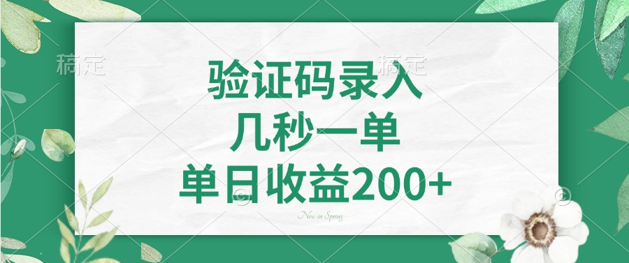 验证码录入，几秒一单，单日收益200+-辰阳网创