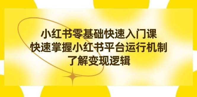 小红书0基础快速入门课，快速掌握小红书平台运行机制，了解变现逻辑-辰阳网创