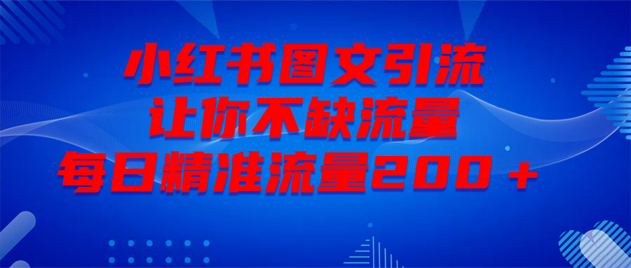 最新！小红书图文引流，全面解析日引300私域流量，是怎样做到的！-辰阳网创