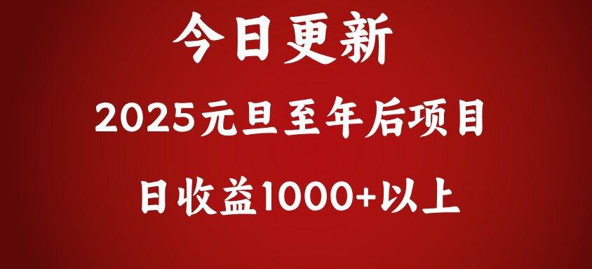 翻身项目，日收益1000+以上-辰阳网创