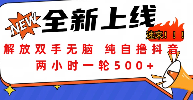 解放双手无脑 纯自撸抖音 两小时一轮500+-辰阳网创