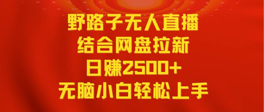 无人直播野路子结合网盘拉新，日赚2500+多平台变现，小白无脑轻松上手操作-辰阳网创