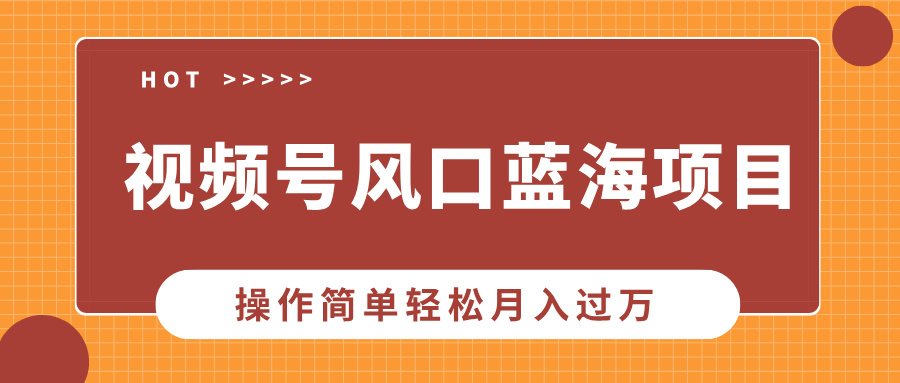 视频号风口蓝海项目，中老年人的流量密码，操作简单轻松月入过万-辰阳网创