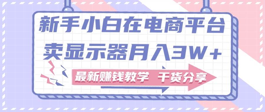 新手小白如何做到在电商平台卖显示器月入3W+，最新赚钱教学干货分享-辰阳网创