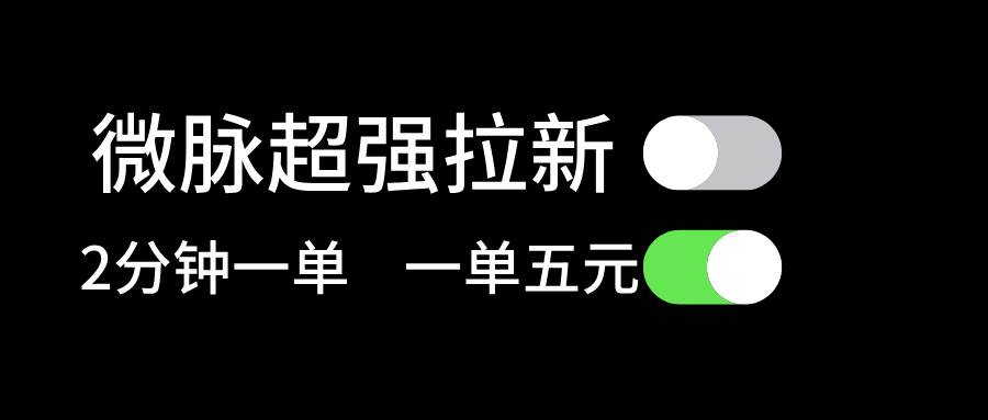 微脉超强拉新， 两分钟1单， 一单利润5块，适合小白-辰阳网创