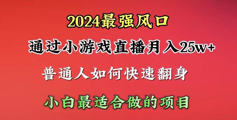 2024年最强风口，通过小游戏直播月入25w+单日收益5000+小白最适合做的项目-辰阳网创