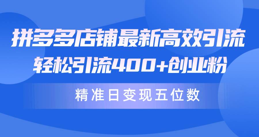 拼多多店铺最新高效引流术，轻松引流400+创业粉，精准日变现五位数！-辰阳网创