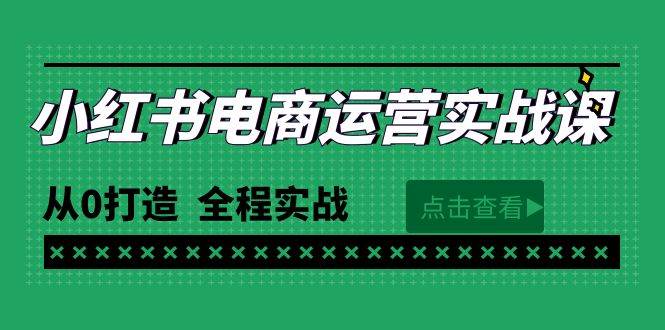 最新小红书·电商运营实战课，从0打造  全程实战（65节视频课）-辰阳网创