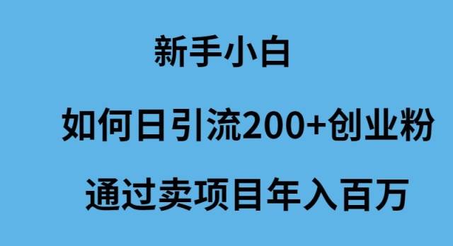 新手小白如何日引流200+创业粉通过卖项目年入百万-辰阳网创