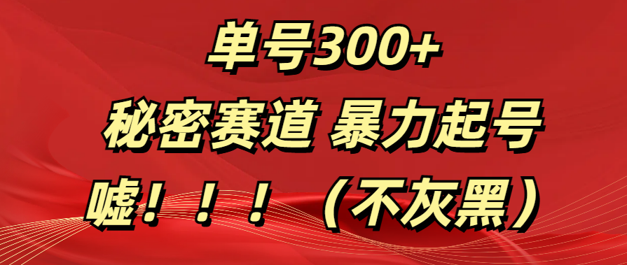 单号300+  秘密赛道 暴力起号  （不灰黑）-辰阳网创