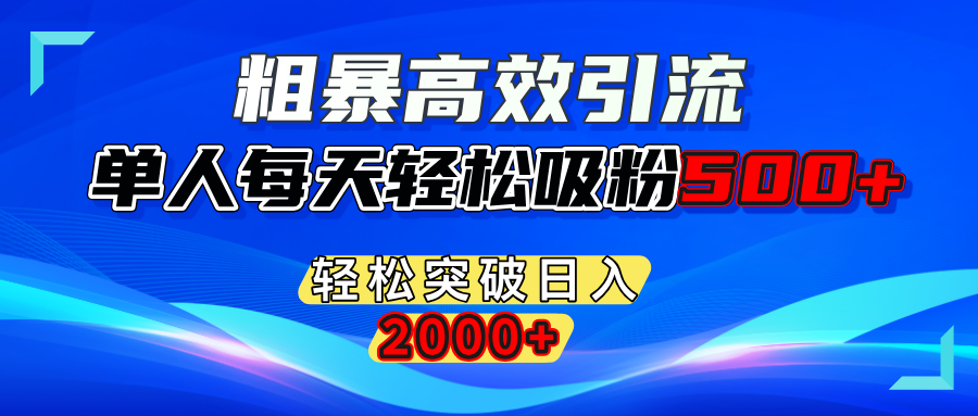 粗暴高效引流,单人每天轻松吸粉500+,轻松突破日入2000+-辰阳网创