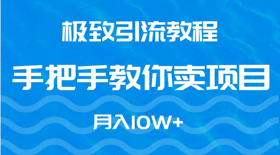 极致引流教程，手把手教你卖项目，月入10W+-辰阳网创