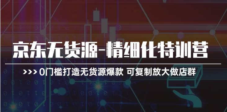 京东无货源-精细化特训营，0门槛打造无货源爆款 可复制放大做店群-辰阳网创