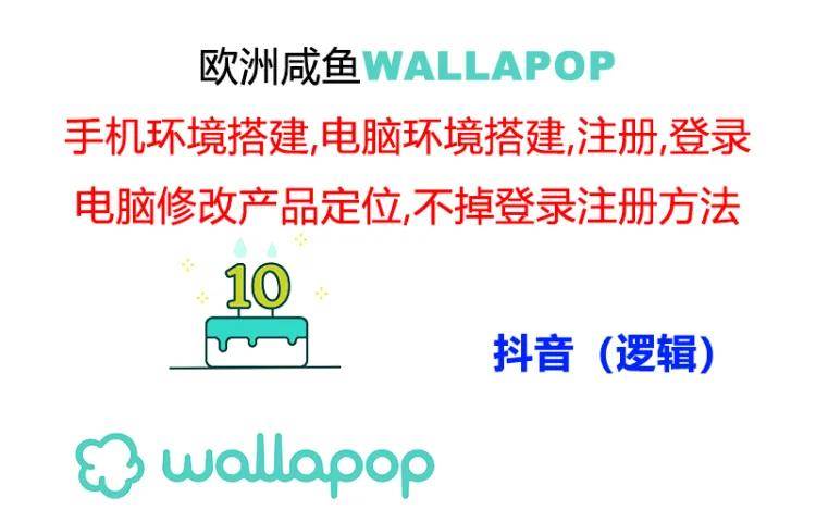 wallapop整套详细闭环流程：最稳定封号率低的一个操作账号的办法-辰阳网创