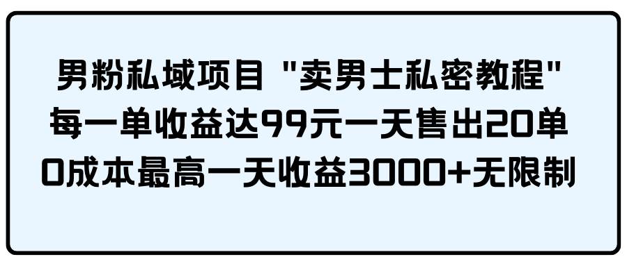 男粉私域项目 卖男士私密教程 每一单收益达99元一天售出20单-辰阳网创