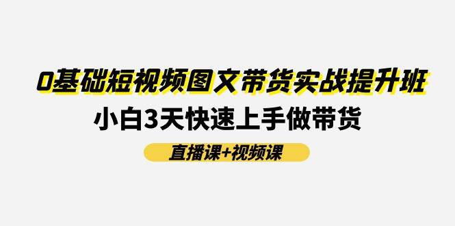 0基础短视频图文带货实战提升班(直播课+视频课)：小白3天快速上手做带货-辰阳网创