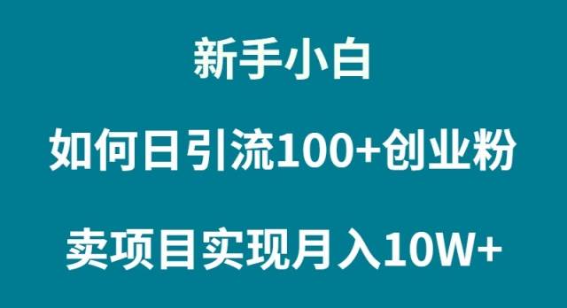 新手小白如何通过卖项目实现月入10W+-辰阳网创