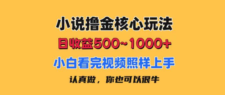 小说撸金核心玩法，日收益500-1000+，小白看完照样上手，0成本有手就行-辰阳网创