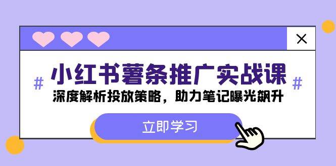 小红书-薯 条 推 广 实战课：深度解析投放策略，助力笔记曝光飙升-辰阳网创