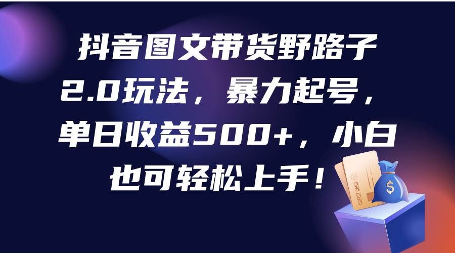 抖音图文带货野路子2.0玩法，暴力起号，单日收益500+，小白也可轻松上手！-辰阳网创