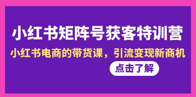 小红书-矩阵号获客特训营-第10期，小红书电商的带货课，引流变现新商机-辰阳网创