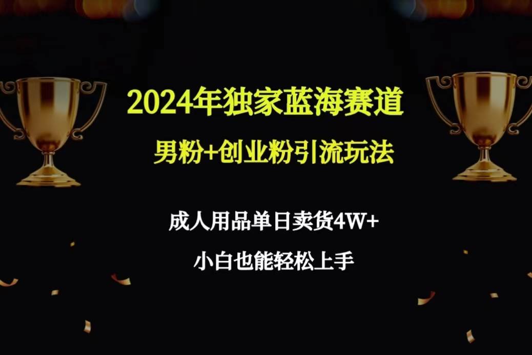 2024年独家蓝海赛道男粉+创业粉引流玩法，成人用品单日卖货4W+保姆教程-辰阳网创