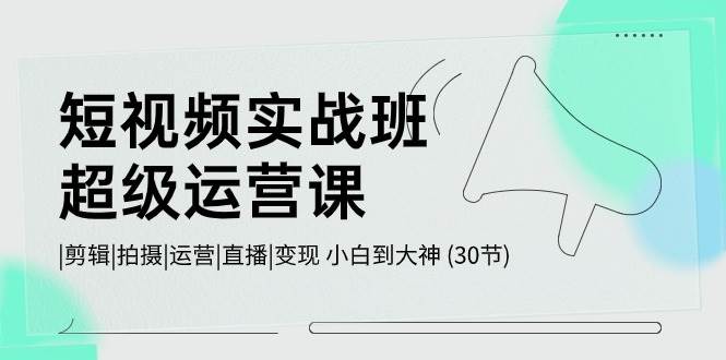 短视频实战班-超级运营课，|剪辑|拍摄|运营|直播|变现 小白到大神 (30节)-辰阳网创