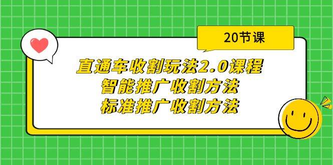 直通车收割玩法2.0课程：智能推广收割方法+标准推广收割方法（20节课）-辰阳网创