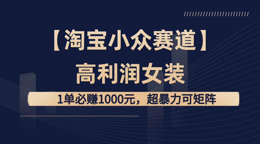 【淘宝小众赛道】高利润女装：1单必赚1000元，超暴力可矩阵-辰阳网创