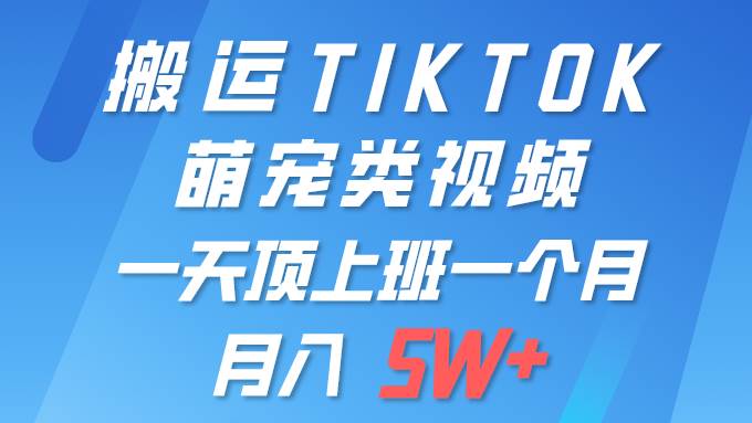 一键搬运TIKTOK萌宠类视频 一部手机即可操作 所有平台均可发布 轻松月入5W+-辰阳网创