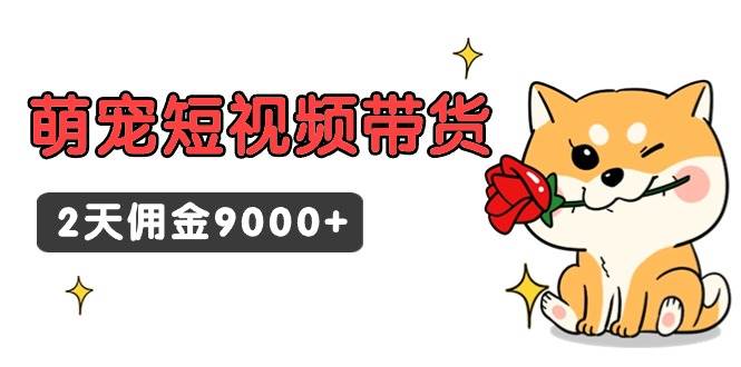 东哲日记·萌宠短视频带货，2天佣金9000+-辰阳网创