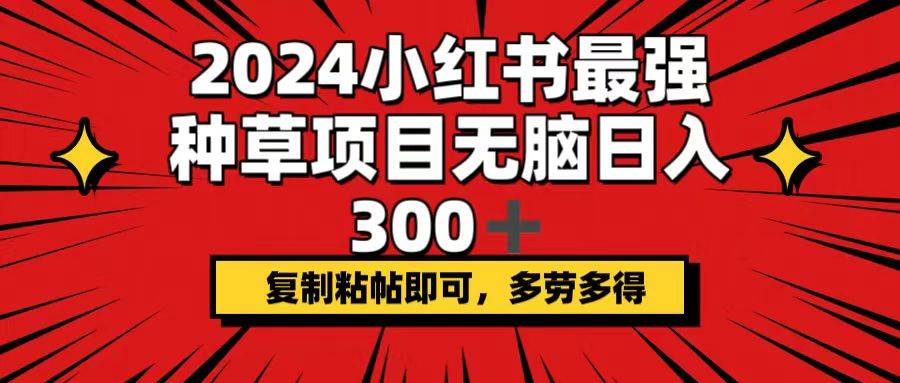 2024小红书最强种草项目，无脑日入300+，复制粘帖即可，多劳多得-辰阳网创