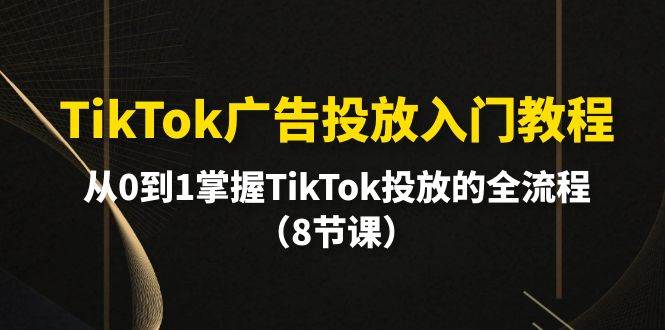 TikTok广告投放入门教程，从0到1掌握TikTok投放的全流程（8节课）-辰阳网创