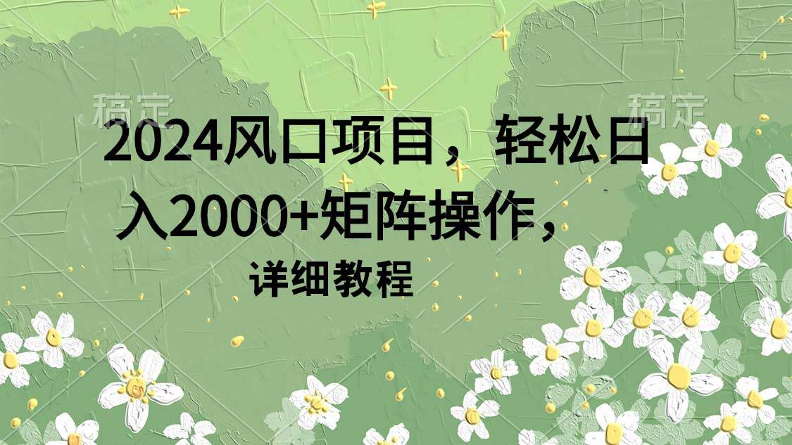 2024风口项目，轻松日入2000+矩阵操作，详细教程-辰阳网创