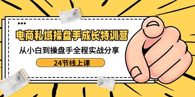 电商私域-操盘手成长特训营：从小白到操盘手全程实战分享-24节线上课-辰阳网创