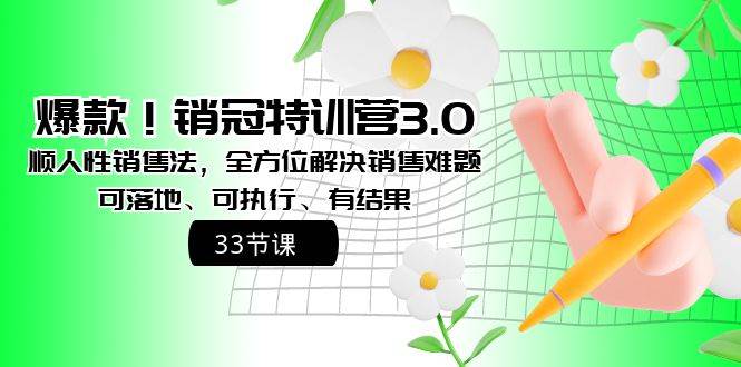 爆款！销冠特训营3.0之顺人性销售法，全方位解决销售难题、可落地、可执行、有结果-辰阳网创