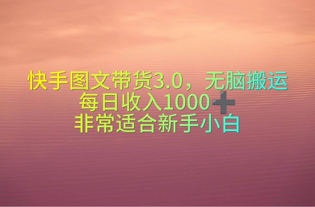 快手图文带货3.0，无脑搬运，每日收入1000＋，非常适合新手小白-辰阳网创