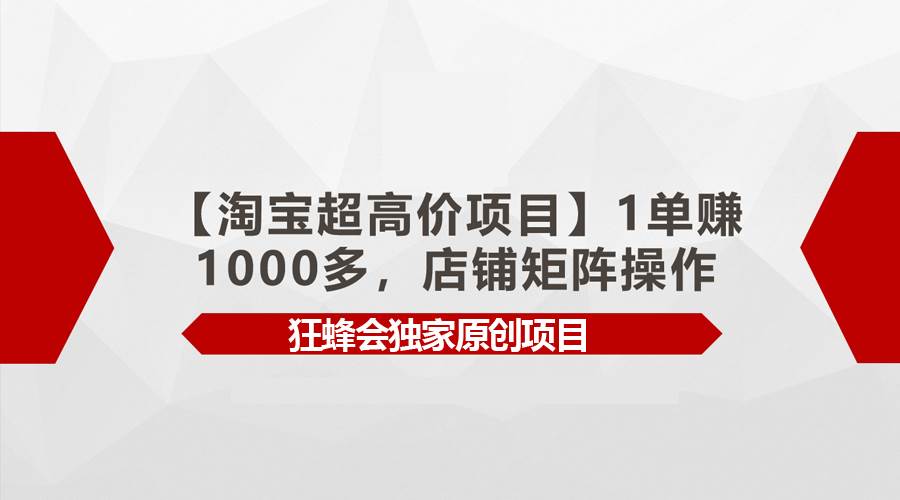 【淘宝超高价项目】1单赚1000多，店铺矩阵操作-辰阳网创