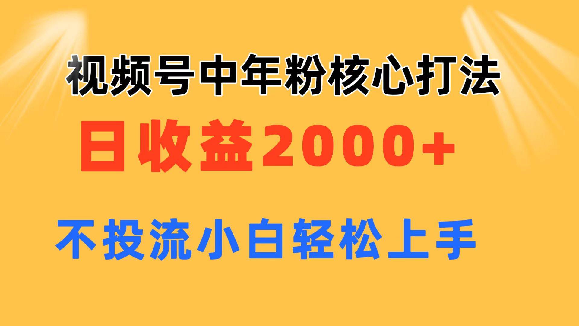 视频号中年粉核心玩法 日收益2000+ 不投流小白轻松上手-辰阳网创