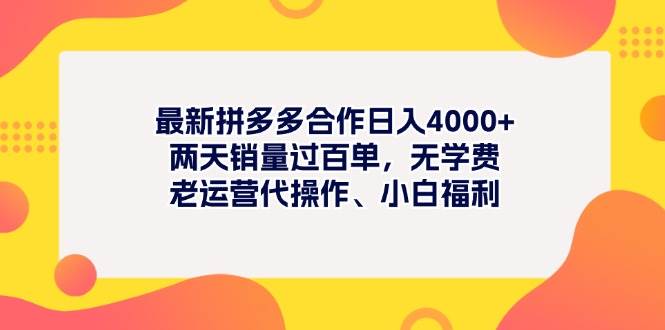 最新拼多多项目日入4000+两天销量过百单，无学费、老运营代操作、小白福利-辰阳网创