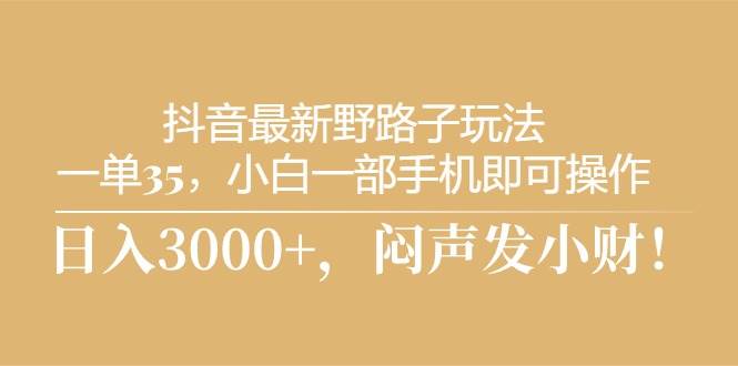 抖音最新野路子玩法，一单35，小白一部手机即可操作，，日入3000+，闷…-辰阳网创