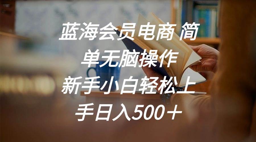 蓝海会员电商 简单无脑操作 新手小白轻松上手日入500＋-辰阳网创