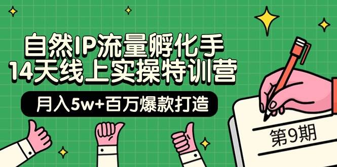 自然IP流量孵化手 14天线上实操特训营【第9期】月入5w+百万爆款打造 (74节)-辰阳网创