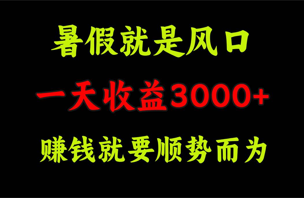 一天收益3000+ 赚钱就是顺势而为，暑假就是风口-辰阳网创