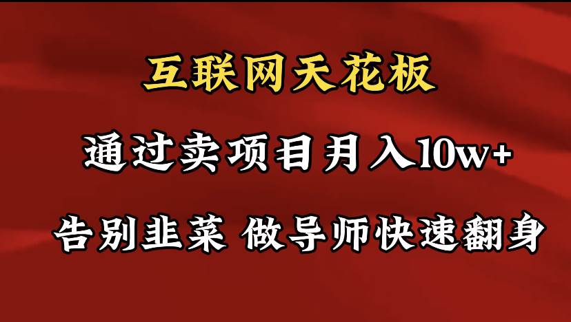 导师训练营互联网的天花板，让你告别韭菜，通过卖项目月入10w+，一定要…-辰阳网创